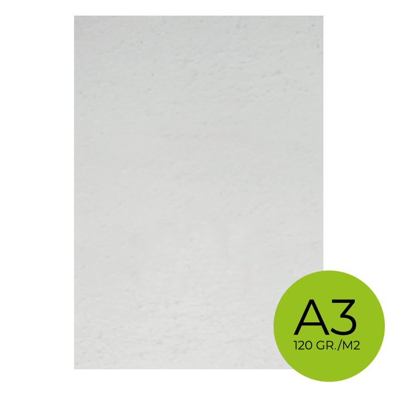 Seedpaper unprinted A3 | 120 gsm
